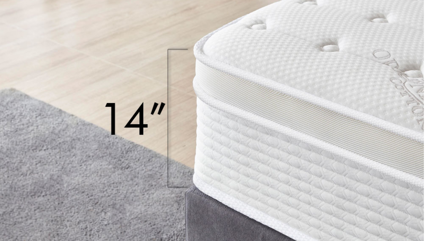 Parallel · 14" Medium Plush Pocket Spring